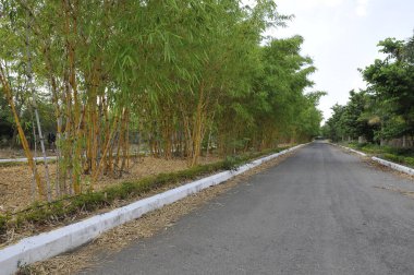 Katran Yolu Kırsal Alanı