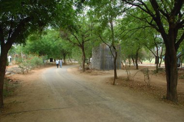 Katran Yolu Kırsal Alanı