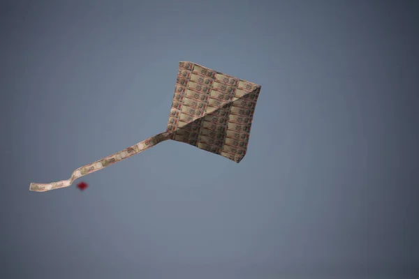 一匹の凧揚げ — ストック写真