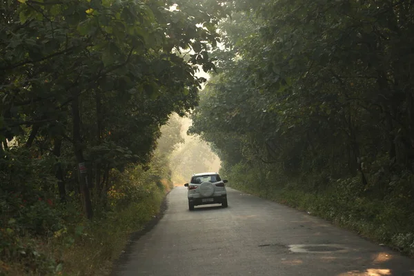 Tar Road Zona Rural India — Foto de Stock
