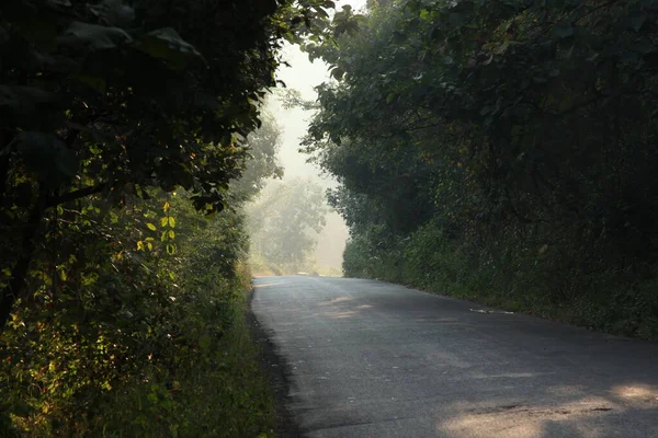 Tar Road Landelijk Gebied India — Stockfoto