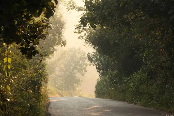Tar Road Área Rural Índia — Fotografia de Stock