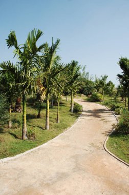 Bahçe Tatil Köyü Hindistan