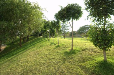 Bahçe Tatil Köyü Hindistan