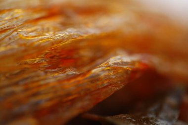 Yağlı Kağıt Yapısı Makro