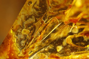 Yağlı Kağıt Yapısı Makro