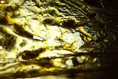 Yağlı Kağıt Yapısı Makro