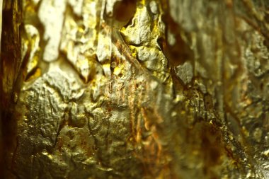 Yağlı Kağıt Yapısı Makro