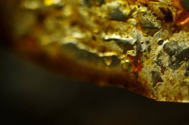 Yağlı Kağıt Yapısı Makro