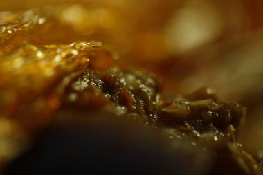 Yağlı Kağıt Yapısı Makro