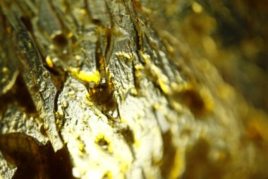 Yağlı Kağıt Yapısı Makro