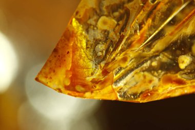 Yağlı Kağıt Yapısı Makro