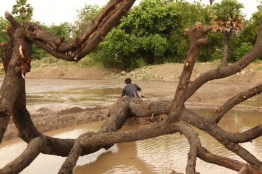 Tarlalardaki Arka Görünüm Adamı