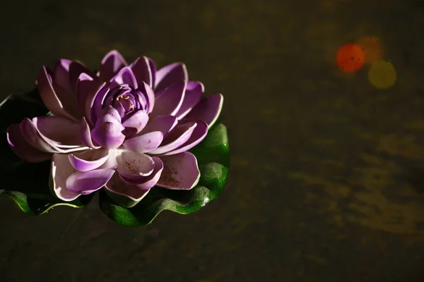 Fleurs Prière Hindoue — Photo