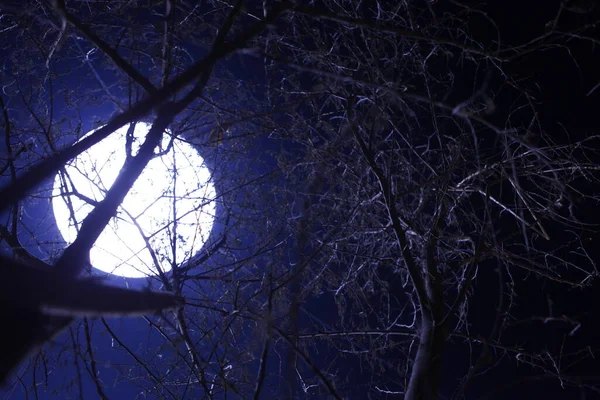 Mond Himmel Untergegangen — Stockfoto