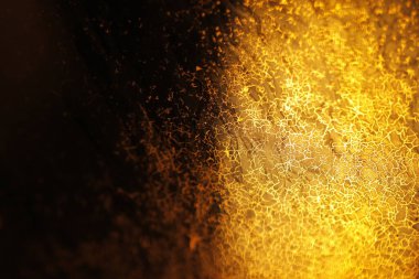 Arka cam doku portre