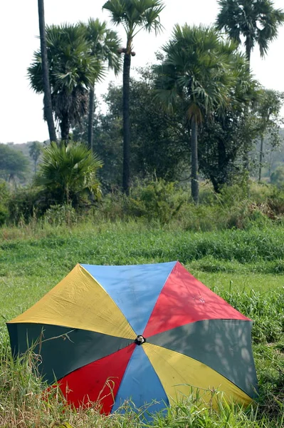 Color Umbrella in resort