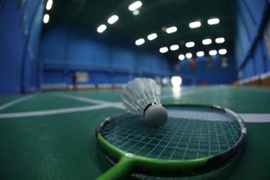 Badminton Beyaz Tüy Mekiği Sahada