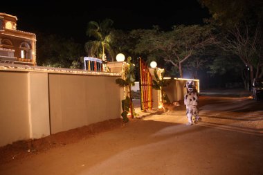 Modern Binanın Dışı