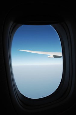 Flight Wing through the window