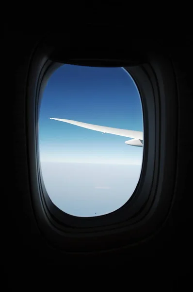 飞翼穿过窗户 — 图库照片