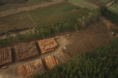 Hindistan 'daki fabrikanın havadan görünüşü