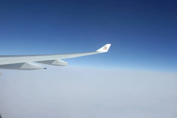 窓からの翼 — ストック写真