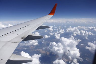 Flight Wing through the window