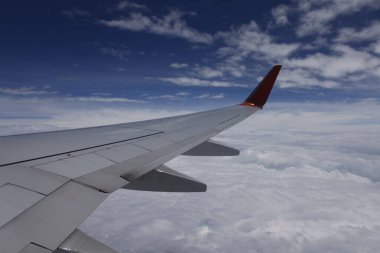 Flight Wing through the window