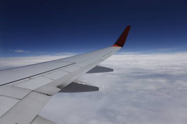 Flight Wing through the window