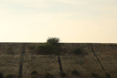 Köy yoksulları Kırsal bölgedeki insanlar