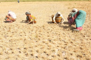 Indian Poor women workers Field 5th Feb 2023 Hyderabad India