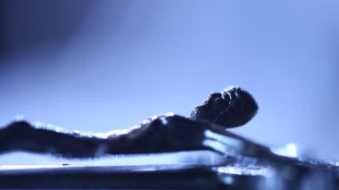 Metal Kilise çapraz makro çekim