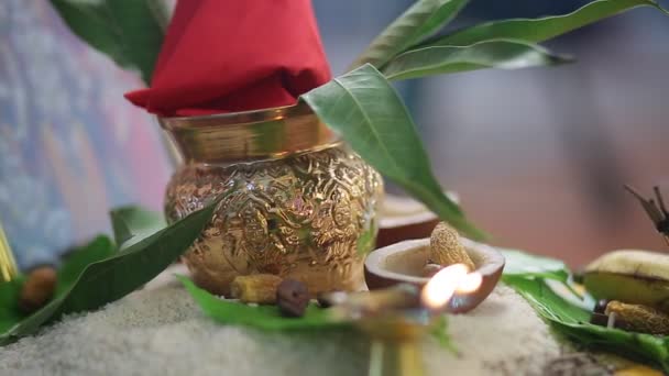 Indian Traditional Hindu Wedding Ceremony — Video Stock
