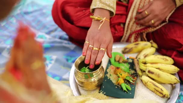 Cerimônia Casamento Hindu Tradicional Indiano — Vídeo de Stock