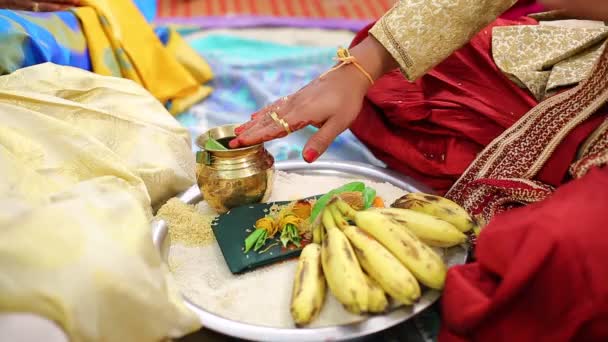 Indian Traditional Hindu Wedding Ceremony — Stock video