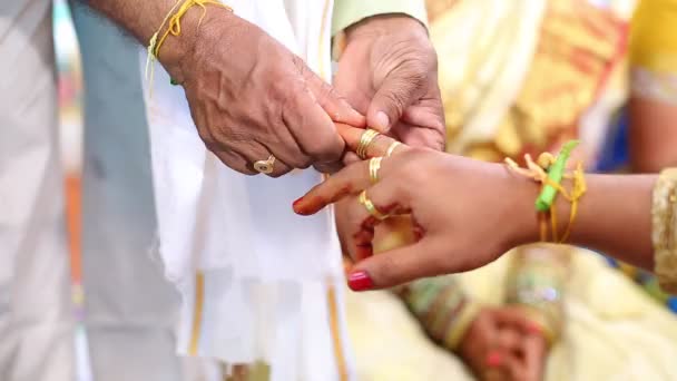 Indický Tradiční Hinduistický Svatební Obřad — Stock video