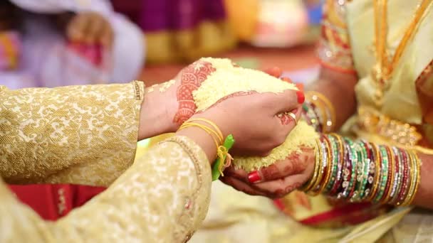 Indyjska Tradycyjna Hinduska Ceremonia Ślubu — Wideo stockowe