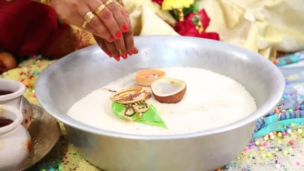 インドの伝統的なヒンズー教の結婚式 — ストック動画