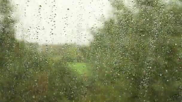 Deszcz Krople Szybie Autobusu Czas Upływa — Wideo stockowe