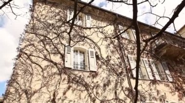 Hindistan 'daki Rajasthan Kalesi