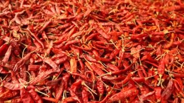 Kırlarda kırmızı serin