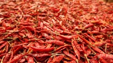 Kırlarda kırmızı serin