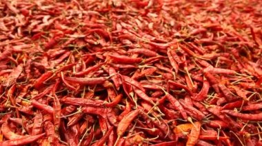 Kırlarda kırmızı serin