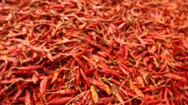 Kırlarda kırmızı serin