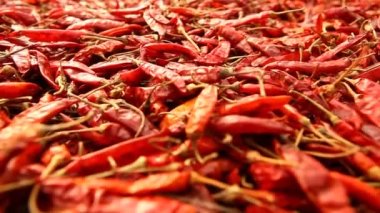 Kırlarda kırmızı serin