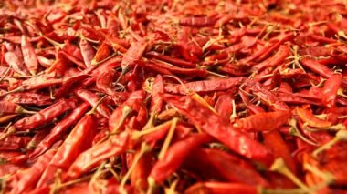 Kırlarda kırmızı serin