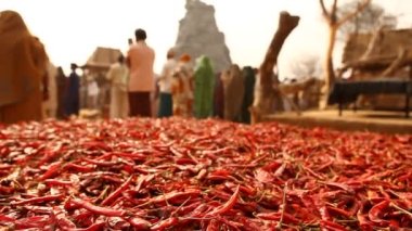 Kırlarda kırmızı serin