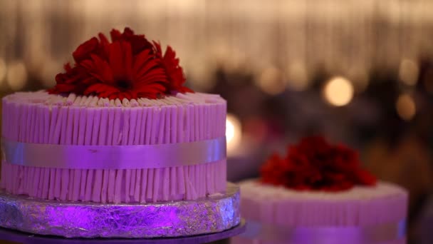機能で誕生日ケーキ — ストック動画