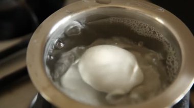 Bir Yumurtanın Yakın Çekimi